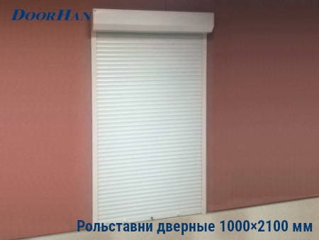 Рольставни на двери 1000×2100 мм в Хакасии от 32966 руб.