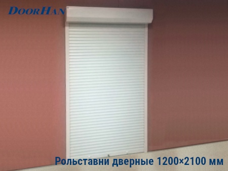 Рольставни на двери 1200×2100 мм в Хакасии от 36313 руб.